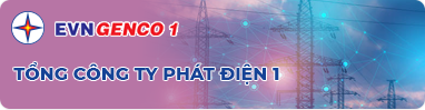 Tổng công ty phát điện 1